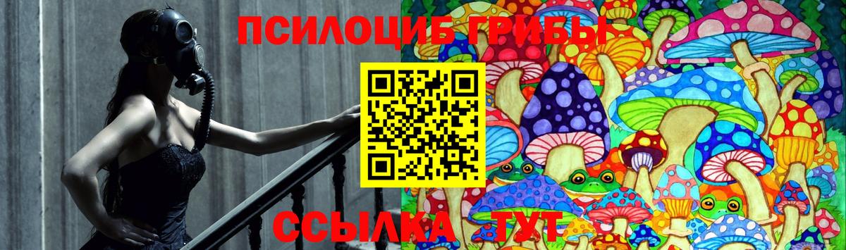 Псилоцибиновые грибы Cubensis  Псилоцибиновые грибы Psilocybine cubensis  Ялта  Вход с VPN 