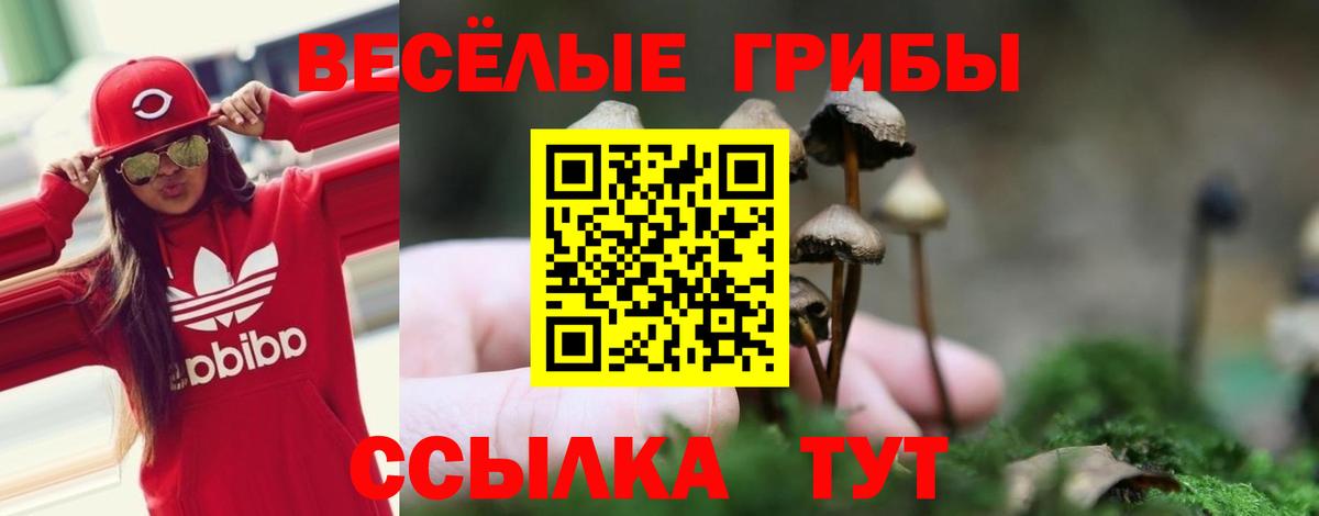 Галлюциногенные грибы GOLDEN TEACHER Ялта